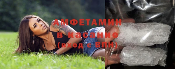 сатива Арсеньев