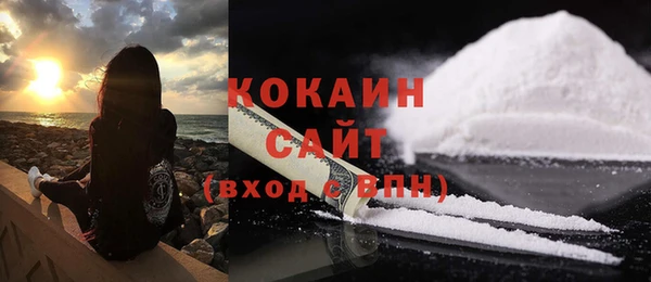 прущие грибы Аркадак