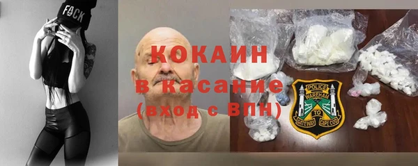 сатива Арсеньев