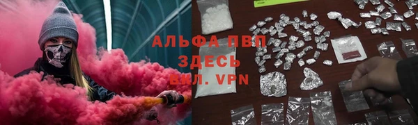 сатива Арсеньев