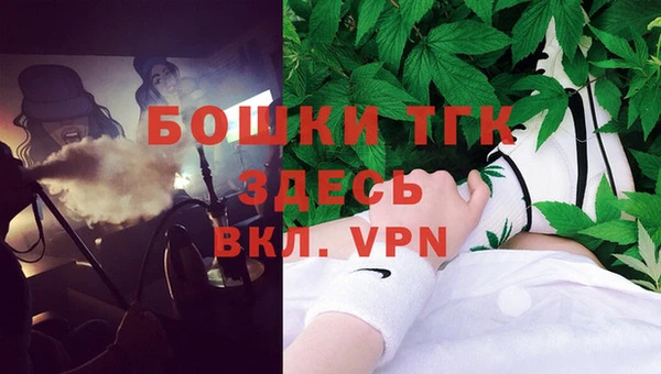 прущие грибы Аркадак
