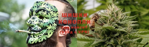 сатива Арсеньев