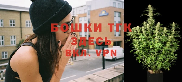 прущие грибы Аркадак