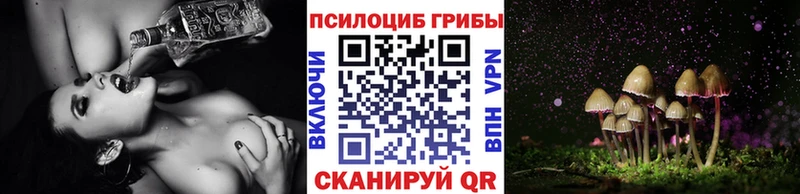 Галлюциногенные грибы Psilocybine cubensis  Среднеуральск 